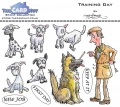 The Card Hut Clear Stamps - Training Day - Stamp Set