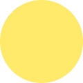 Tombow Filzstift Dual Brush Pen pale yellow (062)