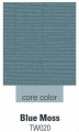 Cardstock  ColorCore  blue moss