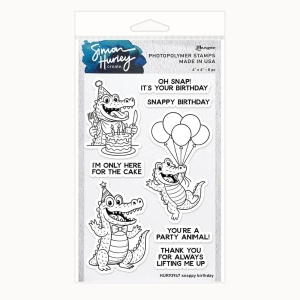 Simon-Hurley-create-Photopolymer-Clear-Stamps-Snappy-Birthday