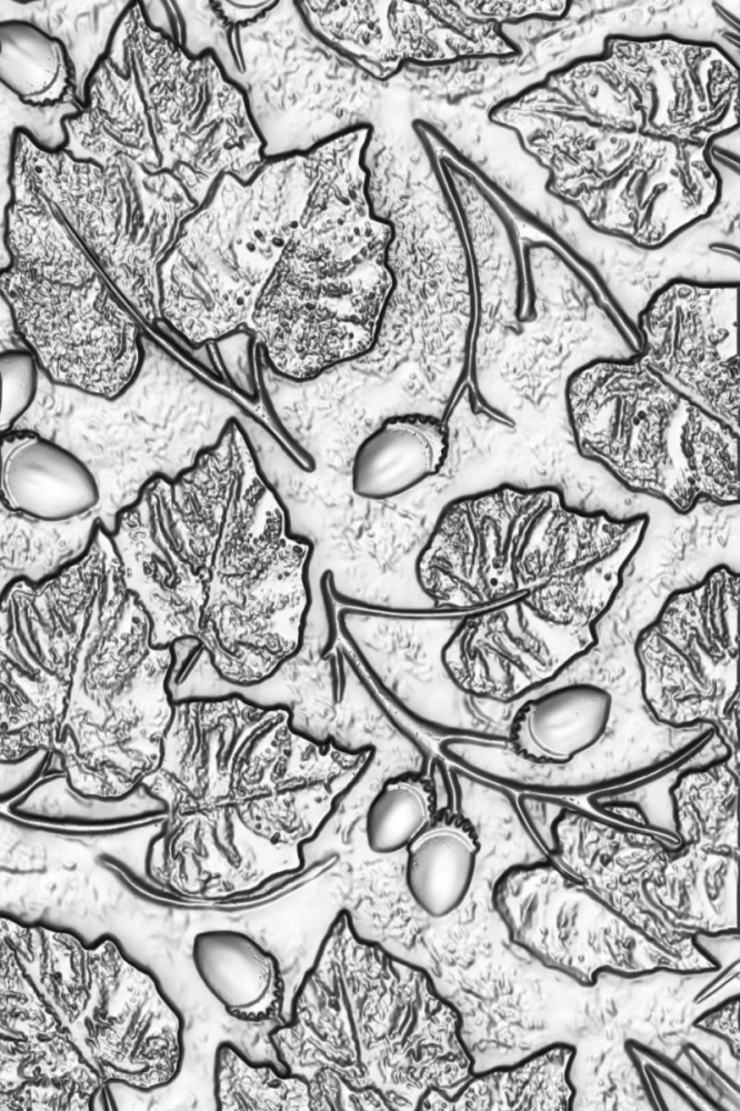 Bild 1 von Sizzix 3-D Texture Fades Embossing Folder by Tim Holtz - Prägefolder - Acorns