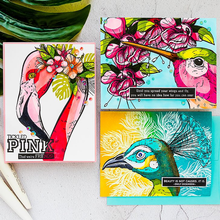 Bild 1 von Colorado Craft Company Clear Stamps - Big & Bold~Hummingbird Delight