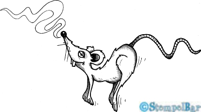 Bild 1 von StempelBar Stempelgummi Crazy-Animals Maus
