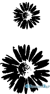 Bild 1 von StempelBar Stempelgummi Blumen-Set