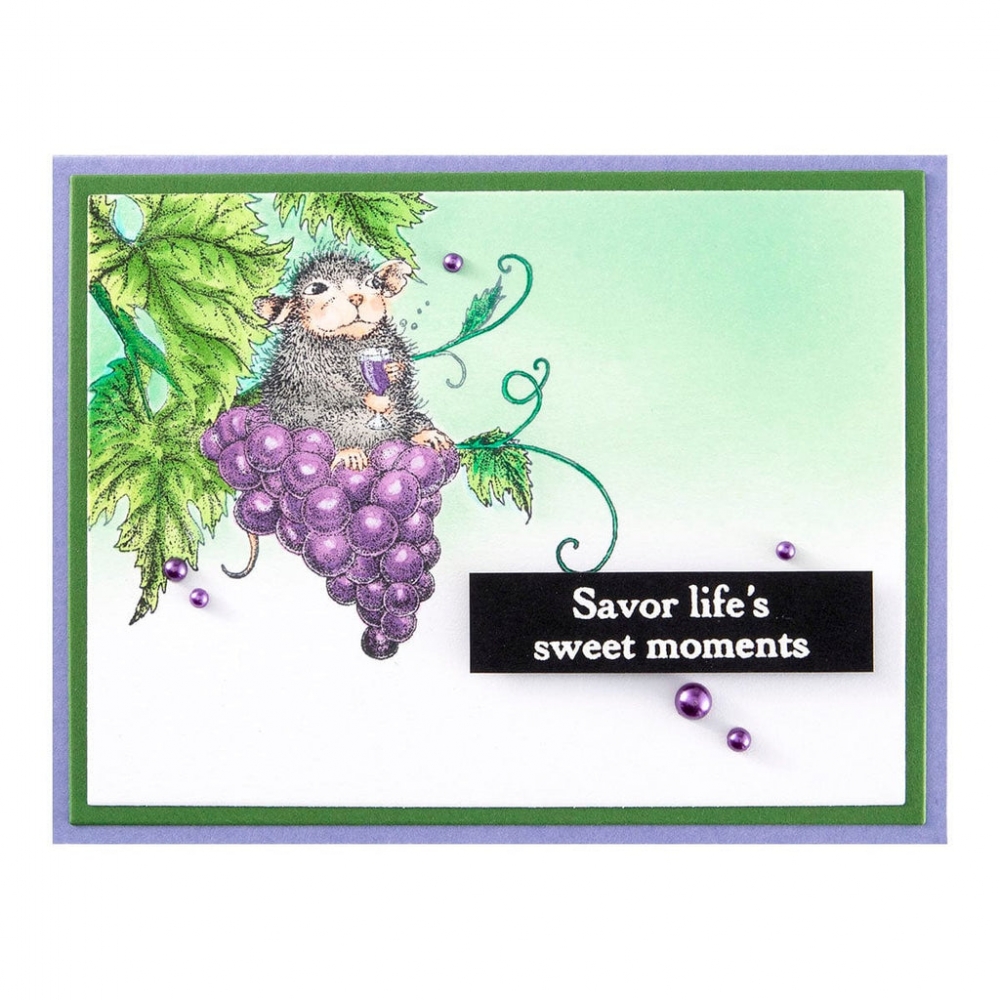 Bild 1 von Spellbinders Healing Thoughts Cling Rubber Stamp Set - House Mouse Stempelgummi