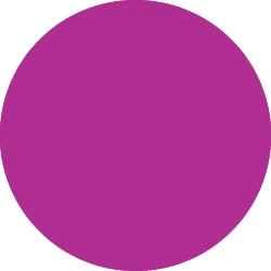 Bild 1 von Tombow Filzstift Dual Brush Pen purple (665)