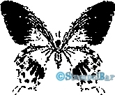 Bild 1 von StempelBar Stempelgummi Schmetterling