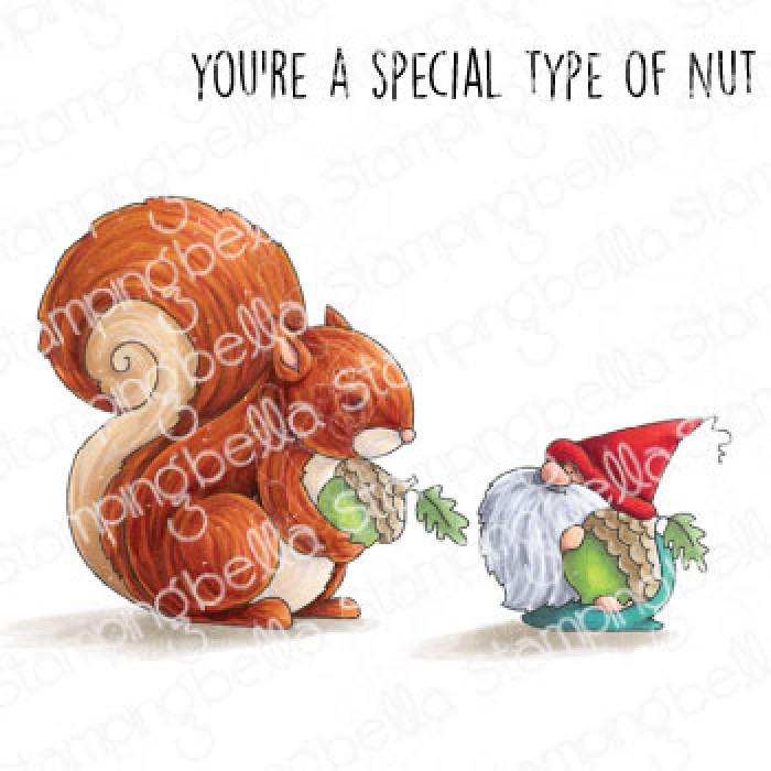 Bild 1 von Gummistempel Stamping Bella Cling Stamp THE GNOME AND THE SQUIRREL RUBBER STAMP