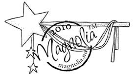 Bild 1 von Magnolia Magic Wand