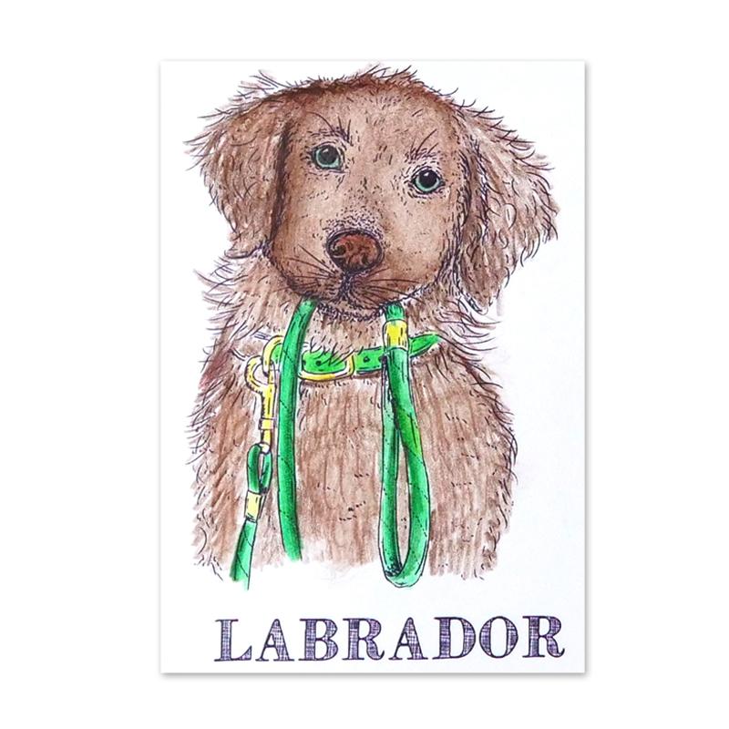 Bild 1 von For the love of...Stamps by Hunkydory - It's a Dog's Life Clear Stamp - Labrador