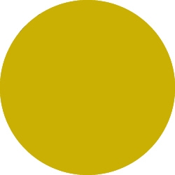Bild 1 von Tombow Filzstift Dual Brush Pen yellow gold (026)