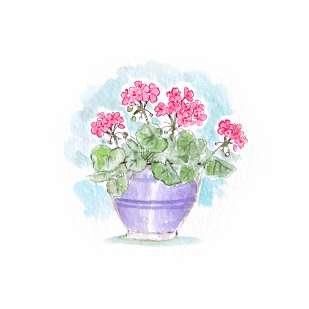 Bild 1 von Art Impressions Stempelgummi Watercolor Geranium Set