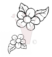 Bild 1 von Magnolia Stempelgummi Blommor med blad