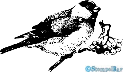 Bild 1 von StempelBar Stempelgummi Antiker Weihnachtsvogel