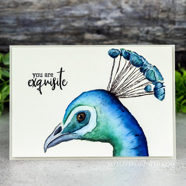 Bild 1 von Colorado Craft Company Clear Stamps - Big & Bold~Hope Sings Peacock