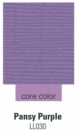 Bild 1 von Cardstock  ColorCore  pansy purple