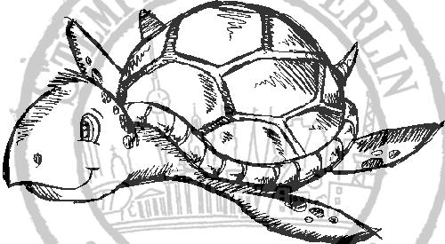 Bild 1 von StempelBar Ministempel - Wasserschildkröte