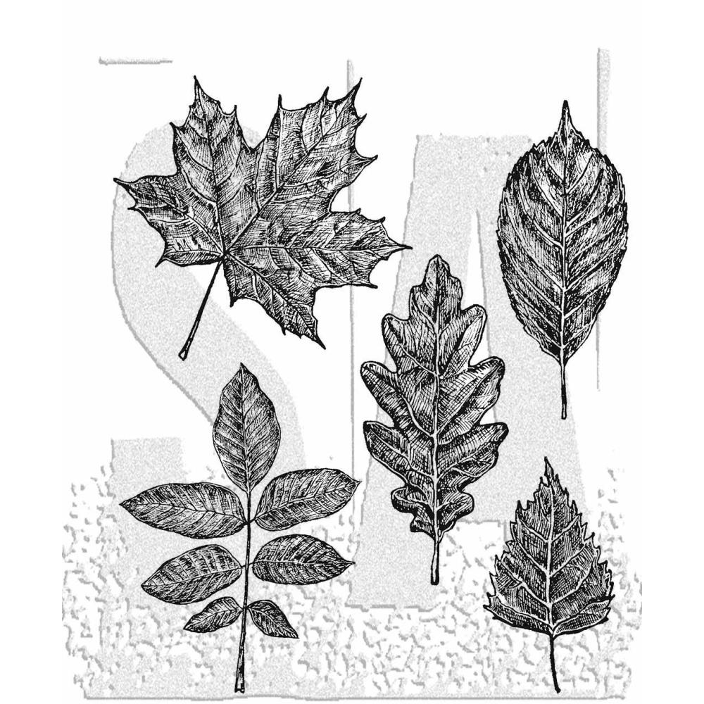 Bild 1 von Tim Holtz Stempelgummis Sketchy Leaves