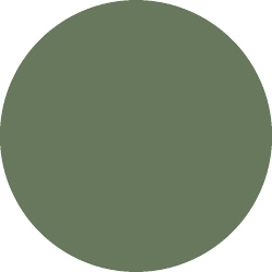 Bild 1 von Tombow Filzstift Dual Brush Pen grey green (228)
