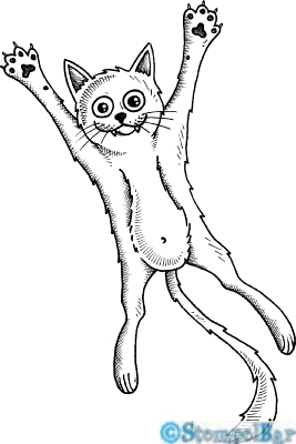 Bild 1 von StempelBar Stempelgummi Crazy-Animals Katze