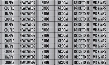Bild 1 von Fastenater Heftklammern Staple Bars Bride & Groom