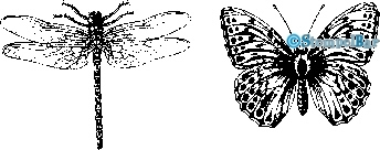 Bild 1 von StempelBar Stempelgummi Insekten Set
