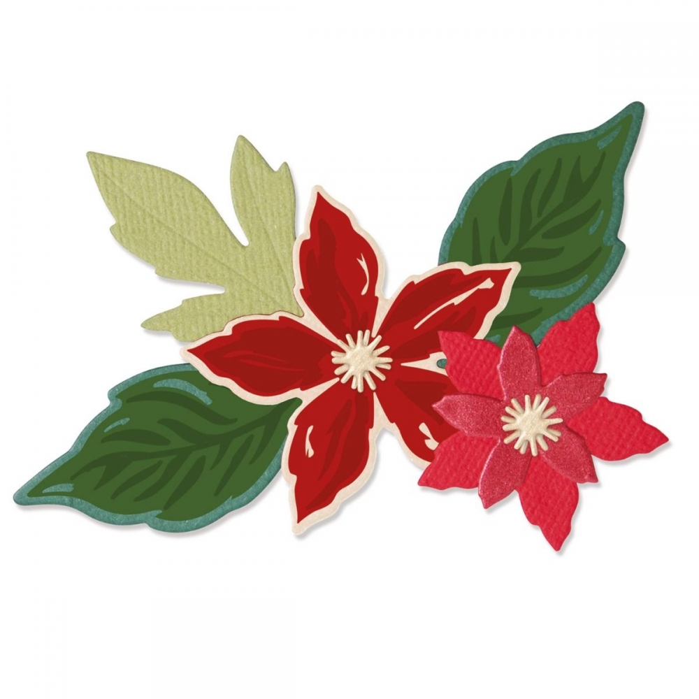Bild 1 von Sizzix Stanzschablonen- und Stempelset Framelits & Stamps Seasonal Flowers - Weihnachtsstern