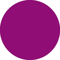 Bild 1 von Tombow Filzstift Dual Brush Pen royal purple (676)