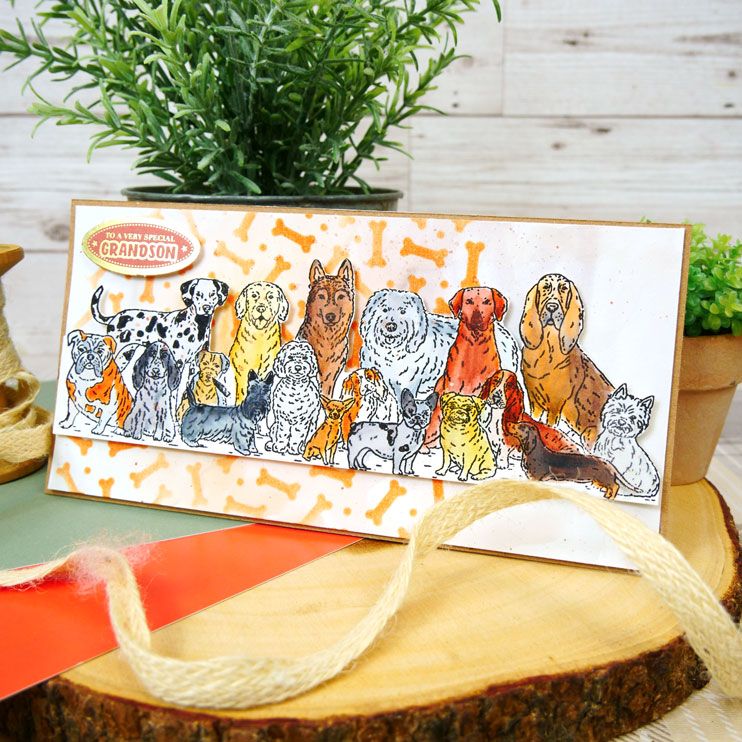 Bild 1 von For the love of...Stamps by Hunkydory - Clearstamps Dozens of Dogs - Hunde