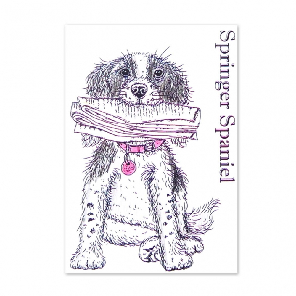 Bild 1 von For the love of...Stamps by Hunkydory - It's a Dog's Life Clear Stamp - Springer Spaniel