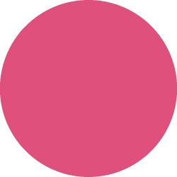 Bild 1 von Tombow Filzstift Dual Brush Pen hot pink (743)