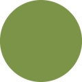 Tombow Filzstift Dual Brush Pen dark olive (158)