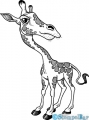 StempelBar Stempelgummi Crazy-Animals Giraffe