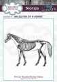 CE Rubber Stamp by Andy Skinner Skeleton of a Horse - Pferd