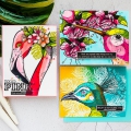 Bild 5 von Colorado Craft Company Clear Stamps - Big & Bold~Hummingbird Delight