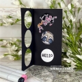 Bild 12 von Whimsy Stamps Clear Stamps - Raccoon How've You Bin