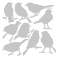 Bild 3 von Sizzix Thinlits Die by Tim Holtz - Stanzschablone - Silhouette Birds - Vögel