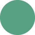 Tombow Filzstift Dual Brush Pen holly green (312)