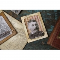 Bild 6 von Sizzix Thinlits Die by Tim Holtz - Stanzschablone - Collector