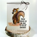 Bild 4 von Crackerbox & Suzy Stamps Cling - Gummistempel Chuck the Squirrel and Acorns