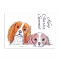 Bild 2 von For the love of...Stamps by Hunkydory - It's a Dog's Life Clear Stamp - King Charles Spaniel
