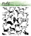 Picket Fence Studios Clear Stamps This Dog Is For You - Hunde
