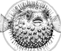 StempelBar Stempelgummi Kugelfisch