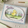 Bild 9 von time for tea designs - Clear Stamp Set - Lucky Ducks