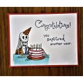 Bild 2 von Crackerbox & Suzy Stamps Cling - Gummistempel Birthday Skeleton - Skelett