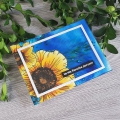 Bild 5 von Colorado Craft Company Clear Stamps - Big & Bold~Anemone & Alium