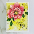 Bild 3 von Colorado Craft Company Clear Stamps - Big & Bold~Daisy & Dahlia