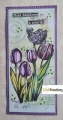 Bild 2 von CraftEmotions Stempel - clearstamps A5 - Tulpen GB