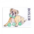 Bild 2 von For the love of...Stamps by Hunkydory - It's a Dog's Life Clear Stamp - Boxer