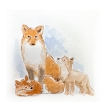 Bild 3 von Art Impressions Stamp Set - Foxes Set